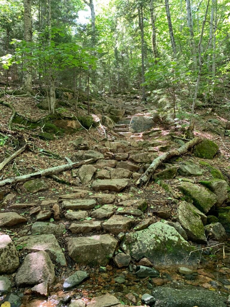 Rocks as steps along Penobscot Mountain Trail in Acadia National Park