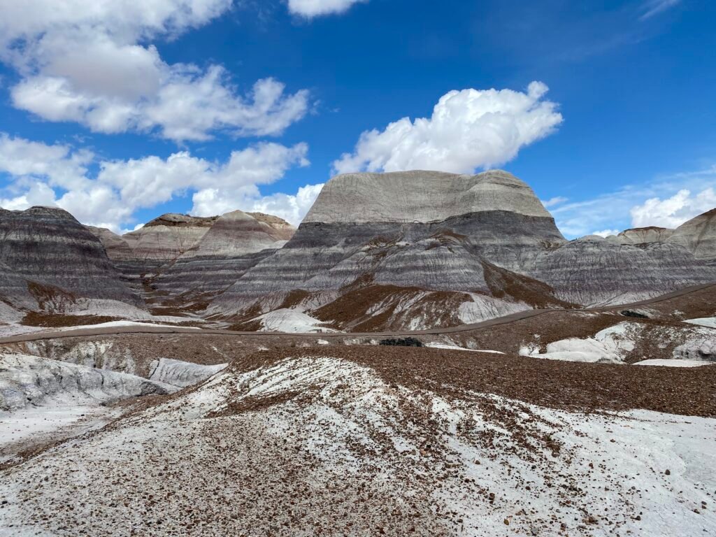 Blue-striped mesas in Petrified Forest National Park, a great dog-friendly national park option