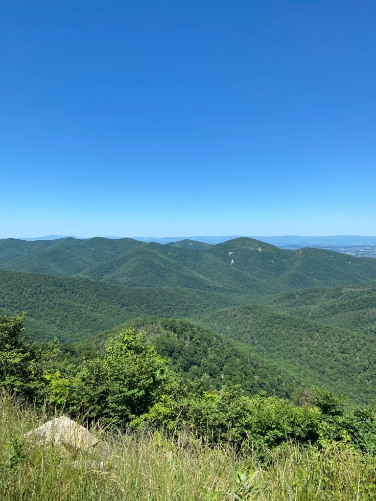 Gazing out at the mountains from the Blue Ridge Parkway near Shenandoah, VA - one of America's most dog-friendly national parks