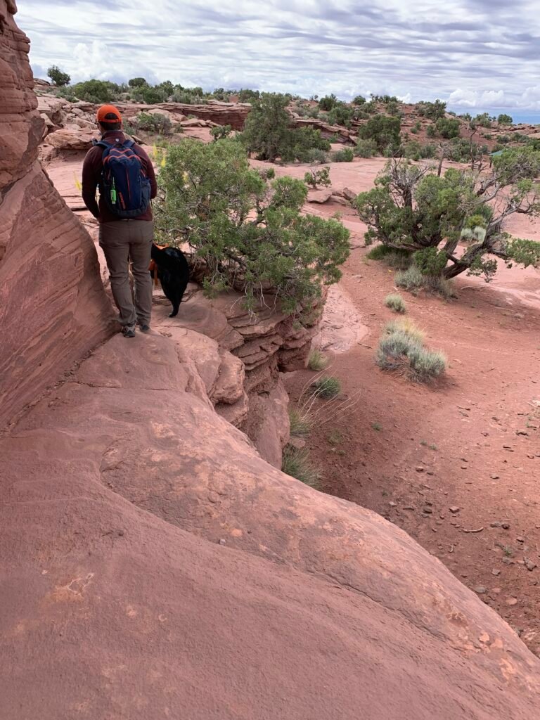 A man and a leashed dog are on a tight, elevated trail curved around a rock formation in Dead Horse Point State Park