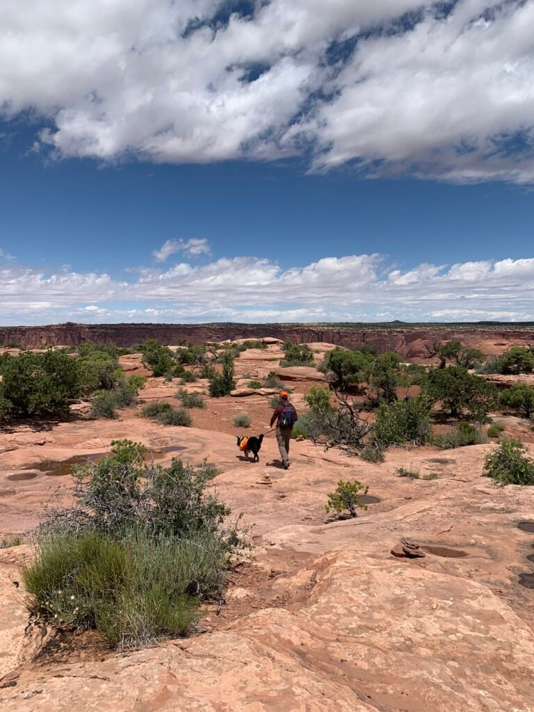 Dog on leash with a man walk across dry slick rock on a mostly sunny day in Dead Horse Point State Park, Utah