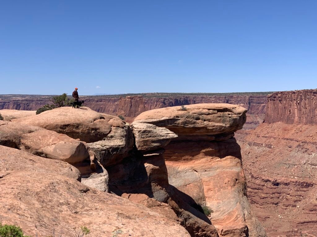 A man and dog overlook canyons in Dead Horse Point State Park, Utah