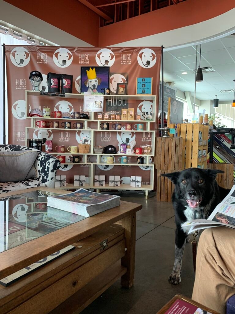 A black and white dog hangs out inside a coffee shop in Park City, Utah