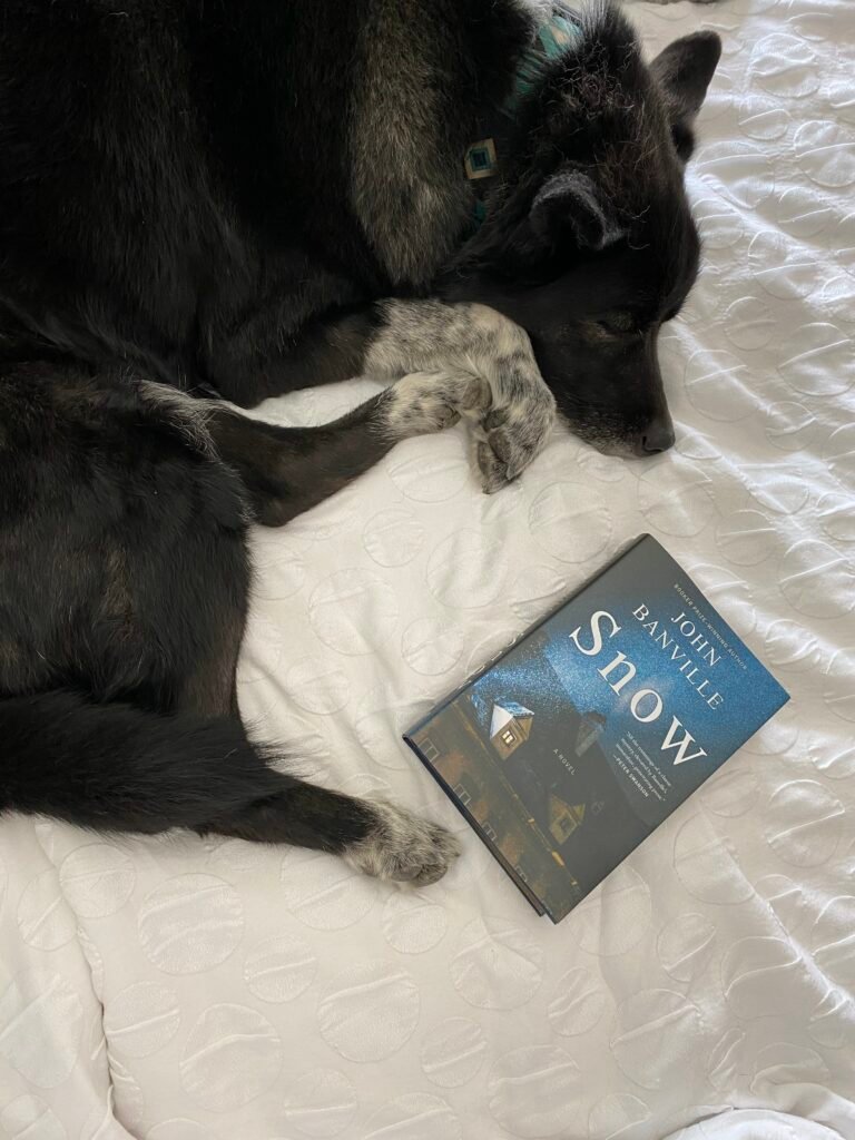 A black and white dog sleeps next to a copy of John Banville's book, Snow