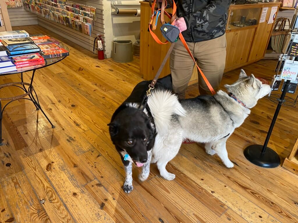 Two dogs on leashes explore Dolly's Bookstore in Historic Old Town Park City, Utah