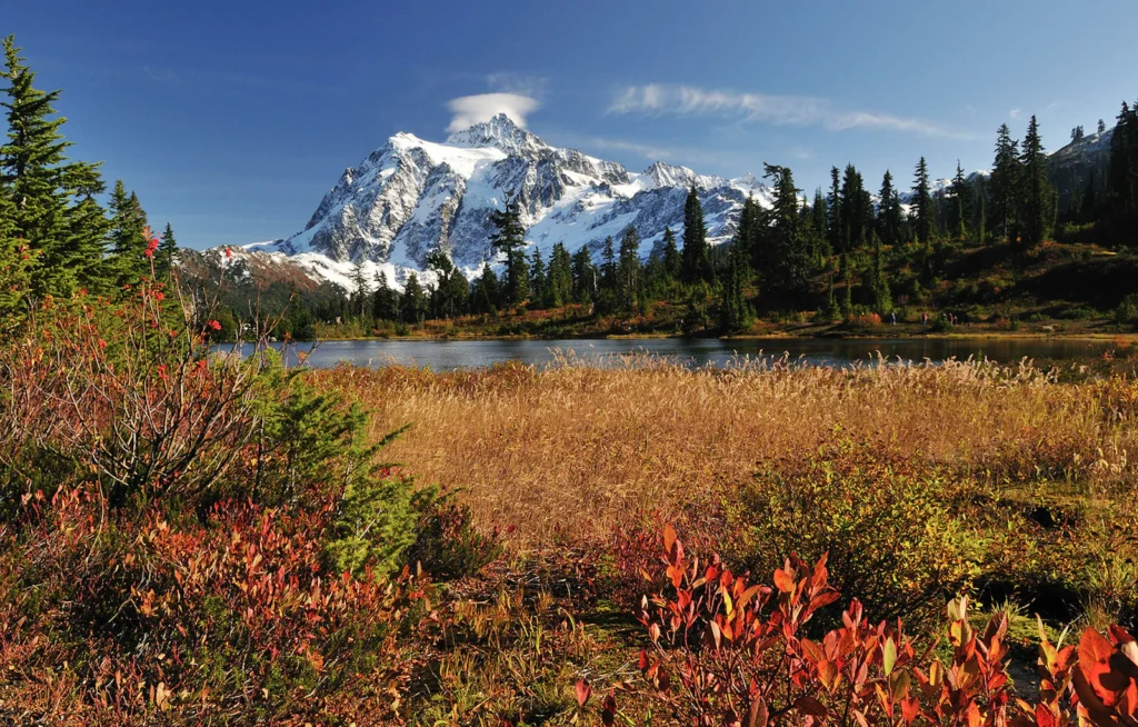 Autumnal foliage in the foreground at North Cascades National Park, with snow-covered mountains in the background. Credit to National Park Foundation.