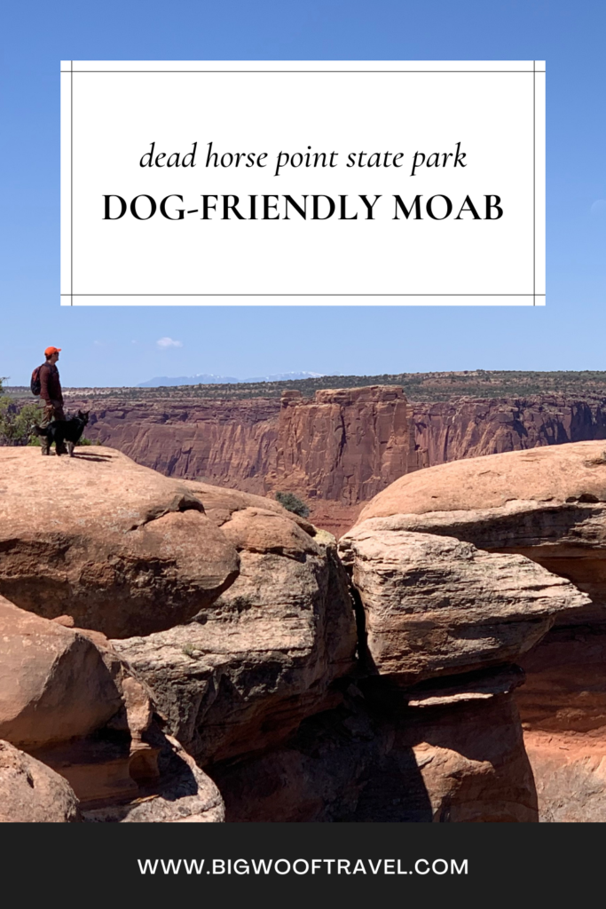 Dead Horse Point State Park, a dog-friendly recommendation for Moab, Utah