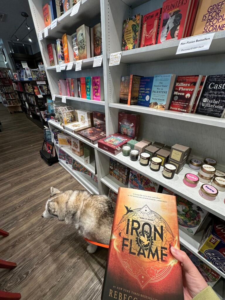 A gray and white husky looks around Gramercy Books while its owner holds a copy of Iron Flame by Rebecca Yarrow